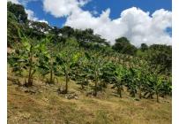 Fincas y Casas Campestres, Venta, Dagua - $620.000.000
