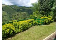 Fincas y Casas Campestres, Venta, Dagua - $620.000.000