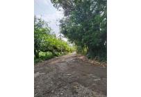 Lotes, Venta, Pance - $6.800.000.000