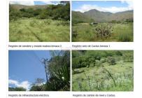 Lotes, Venta, Dagua - $3.000.000.000