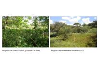 Lotes, Venta, Dagua - $3.000.000.000
