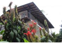 Fincas y Casas Campestres, Venta, Dagua - $680.000.000