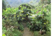 Fincas y Casas Campestres, Venta, Dagua - $680.000.000