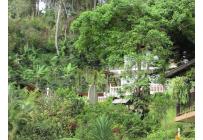 Fincas y Casas Campestres, Venta, Dagua - $680.000.000