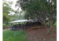 Fincas y Casas Campestres, Venta, Jamundí - $185.000.000