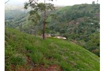 Fincas y Casas Campestres, Venta, Jamundí - $185.000.000