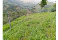 Fincas y Casas Campestres, Venta, Jamundí - $185.000.000