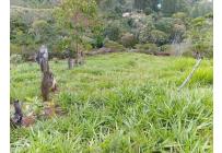 Fincas y Casas Campestres, Venta, Jamundí - $185.000.000