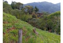 Fincas y Casas Campestres, Venta, Jamundí - $185.000.000