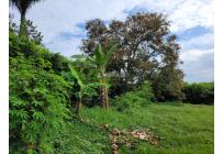 Casas, Venta, Jamundí - $390.000.000