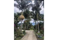 Lotes, Venta, Circasia - $700.000.000