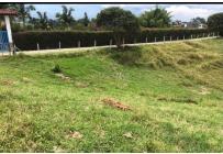 Lotes, Venta, Circasia - $700.000.000