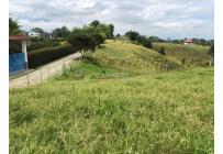 Lotes, Venta, Circasia - $700.000.000