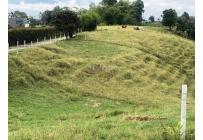 Lotes, Venta, Circasia - $700.000.000