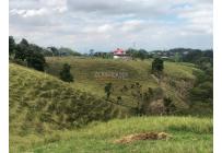 Lotes, Venta, Circasia - $700.000.000