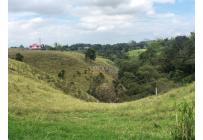 Lotes, Venta, Circasia - $700.000.000