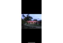 Lotes, Venta, Circasia - $700.000.000