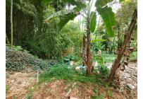 Lotes, Alquiler, La Buitrera - $8.000.000