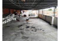 Casas, Venta, Junín - $499.000.000