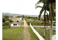 Lotes, Venta, Calima (Darién) - $120.000.000
