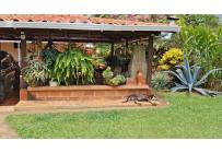 Fincas y Casas Campestres, Venta, La Cumbre - $870.000.000