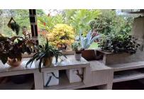 Fincas y Casas Campestres, Venta, La Cumbre - $870.000.000