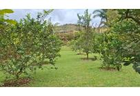 Fincas y Casas Campestres, Venta, La Cumbre - $870.000.000