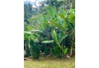 Fincas y Casas Campestres, Venta, La Cumbre - $1.100.000.000