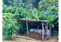 Fincas y Casas Campestres, Venta, La Cumbre - $1.100.000.000