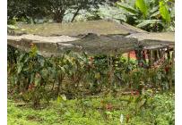 Fincas y Casas Campestres, Venta, La Cumbre - $1.100.000.000