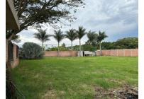 Lotes, Venta, Palmira - $300.000.000