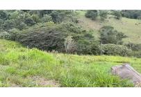 Lotes, Venta, Yumbo - $545.000.000