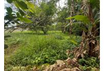 Lotes, Venta, Pance - $1.600.000.000