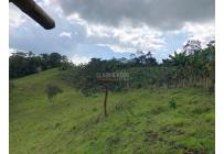 Casas, Venta, Dagua - $850.000.000