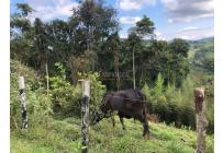 Casas, Venta, Dagua - $850.000.000