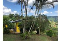 Casas, Venta, Dagua - $850.000.000