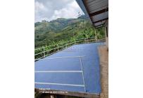 Fincas y Casas Campestres, Venta, Buga - $295.000.000