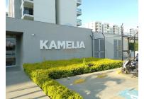 Apartamentos, Alquiler, Ciudad Bochalema - $900.000