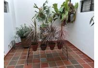 Casas, Venta, Santa Rita - $950.000.000