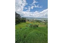 Lotes, Venta, Calima (Darién) - $900.000.000