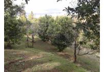 Casas, Venta, Dagua - $450.000.000