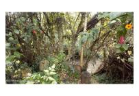 Lotes, Venta, Tabio - $1.050.000.000