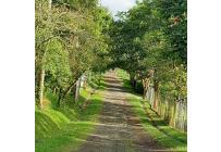 Fincas y Casas Campestres, Venta, Dagua - $1.100.000.000