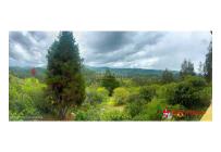 Fincas y Casas Campestres, Venta, Ubate - $480.000.000