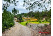 Fincas y Casas Campestres, Venta, Ubate - $480.000.000