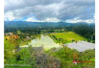 Fincas y Casas Campestres, Venta, Ubate - $480.000.000