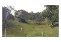 Lotes, Venta, La Calera - $1.150.000.000