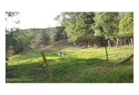 Lotes, Venta, La Calera - $1.150.000.000