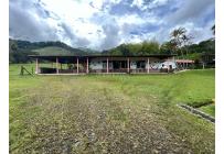 Fincas y Casas Campestres, Alquiler, Calima (Darién) - $3.500.000