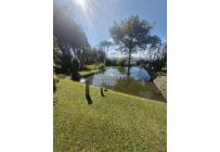 Fincas y Casas Campestres, Alquiler, Calima (Darién) - $3.500.000